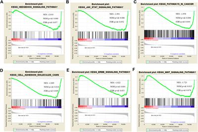 CLIP4 Shows Putative Tumor Suppressor Characteristics in Breast Cancer: An Integrated Analysis